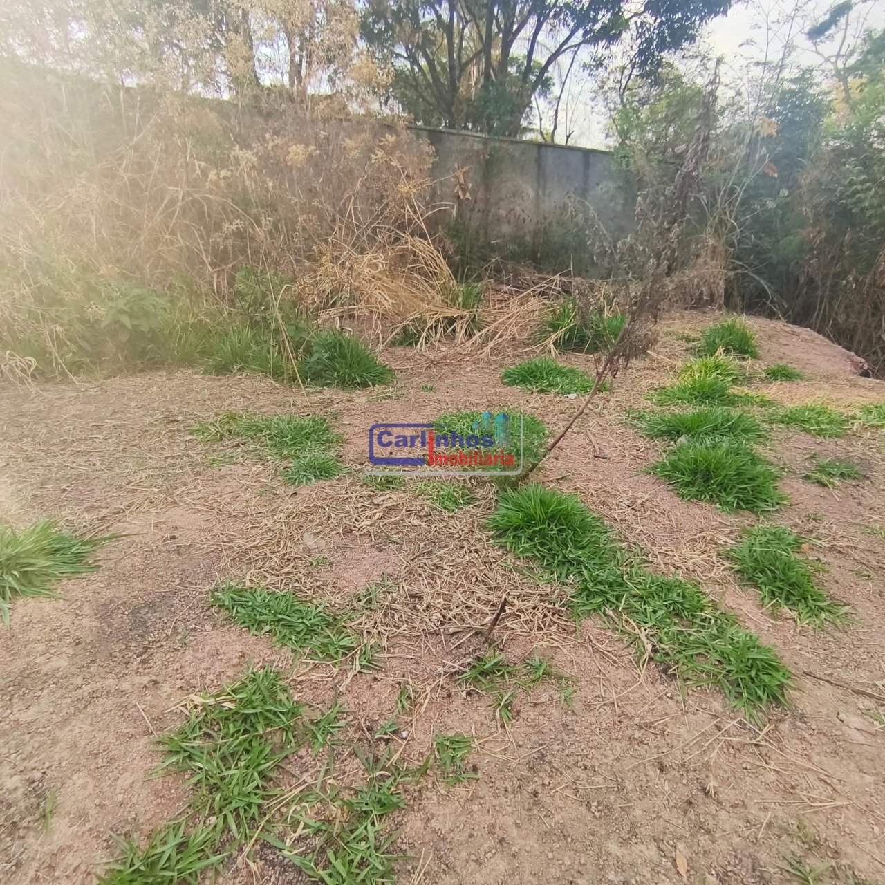 WhatsApp Image 2025-10-09 at 12.29