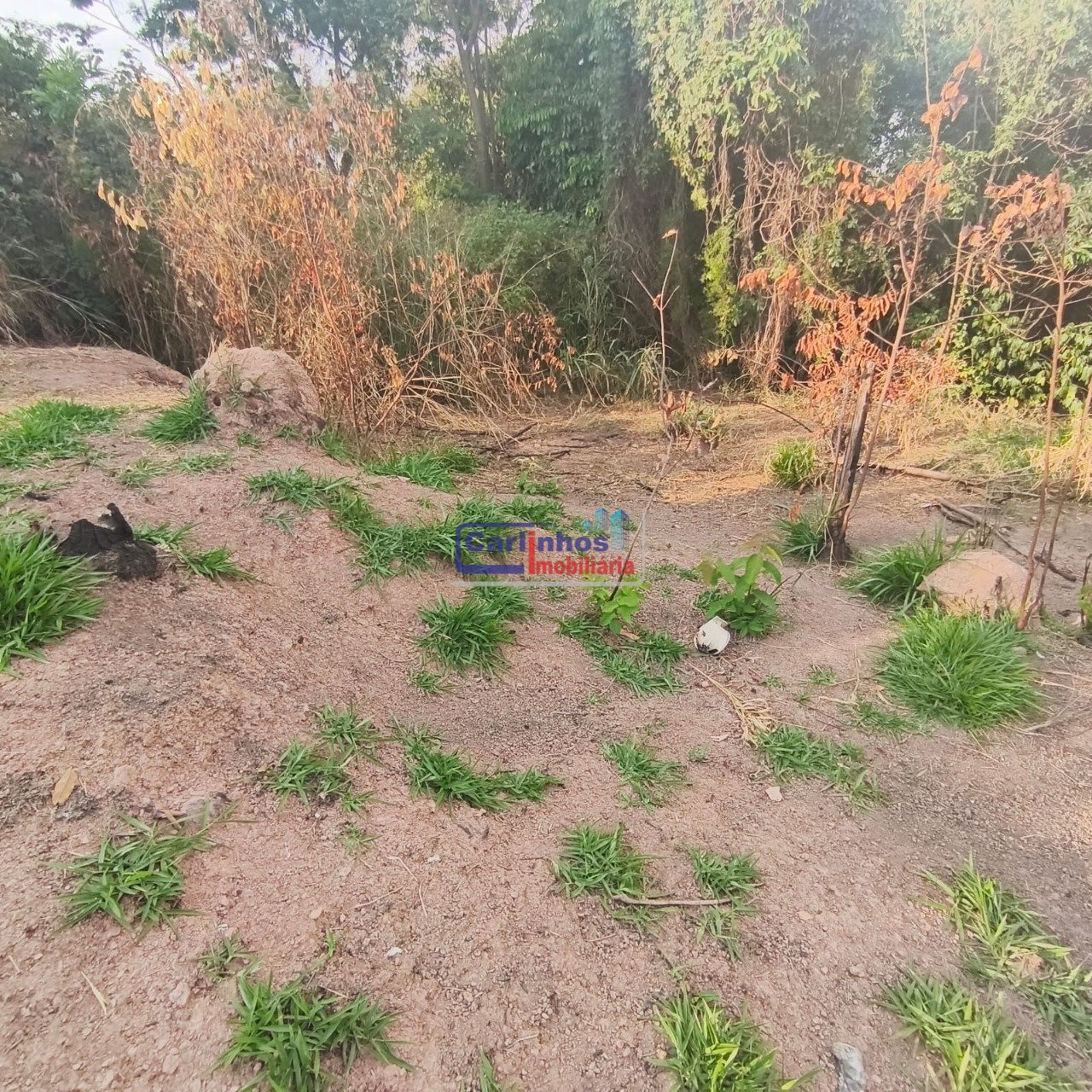 WhatsApp Image 2025-10-09 at 12.29