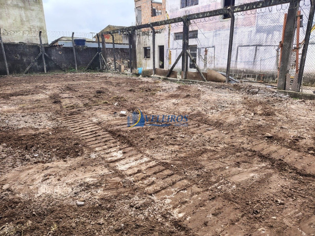 WhatsApp Image 2025-11-11 at 14.41