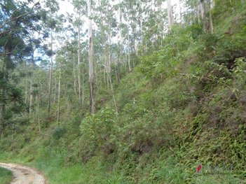 land_lot em Estrada dos Eucaliptos, Fazenda Inglesa - Petrópolis - RJ
