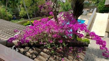 house em das Hortênsias, Bosque da Saúde - São Paulo - SP