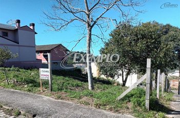 land_lot em Avenida Itália, São Pelegrino - Caxias do Sul - RS