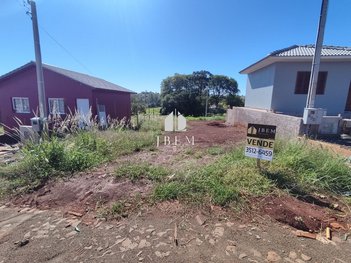 land_lot em Rua dos Pica Paus, Figueira - Santa Rosa - RS