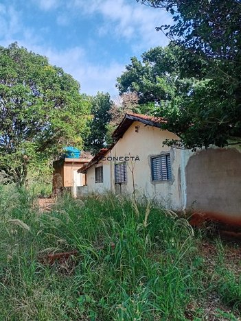 agricultural em Área Rural, Área Rural - Ibiporã - PR