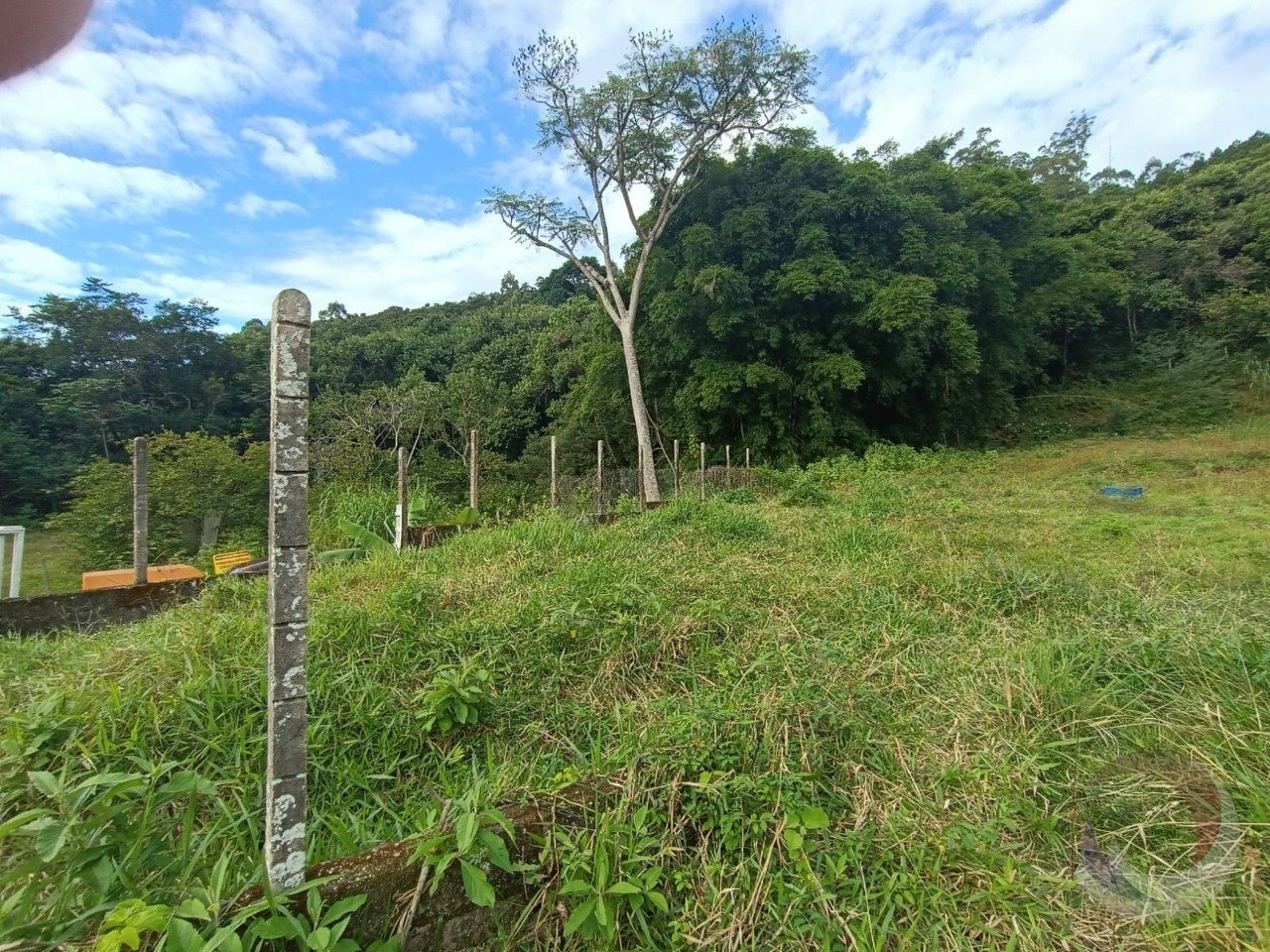 3 vista lateral