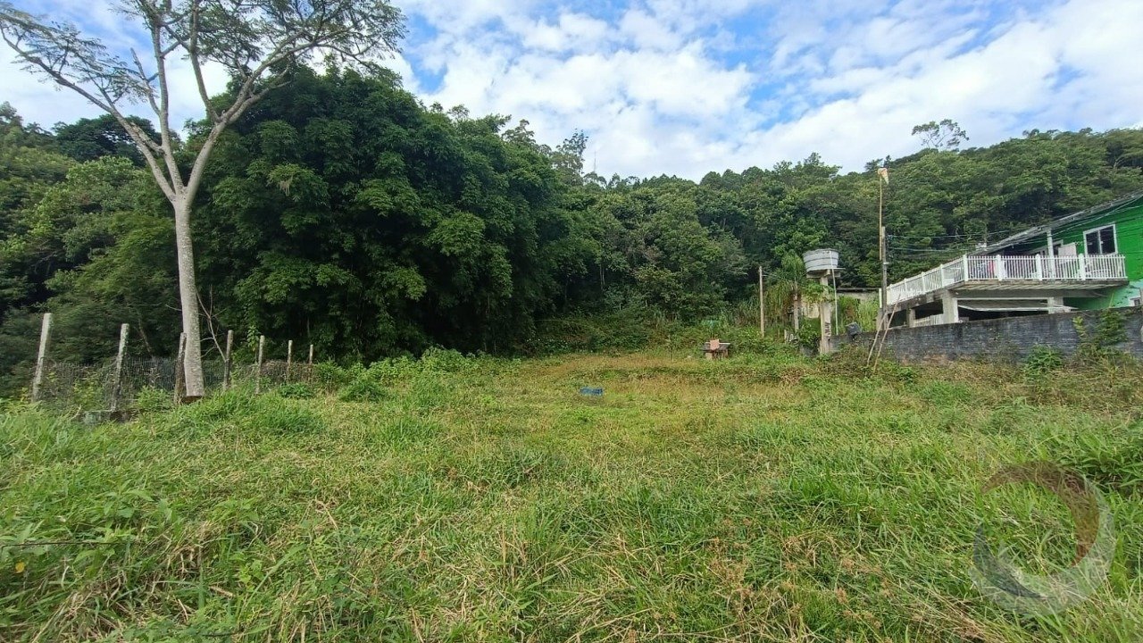 4º interna