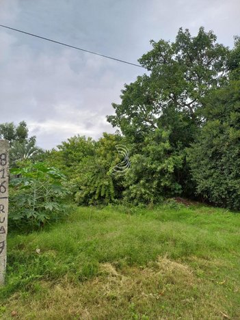 land_lot em Br 392 Km 30, Quinta - Rio Grande - RS