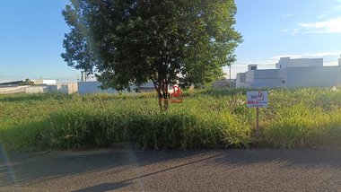 land_lot em Rua João Câmara, Loanda - Loanda - PR