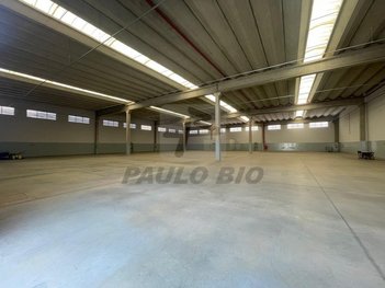 industrial em Forte do Leme, Parque São Lourenço - São Paulo - SP