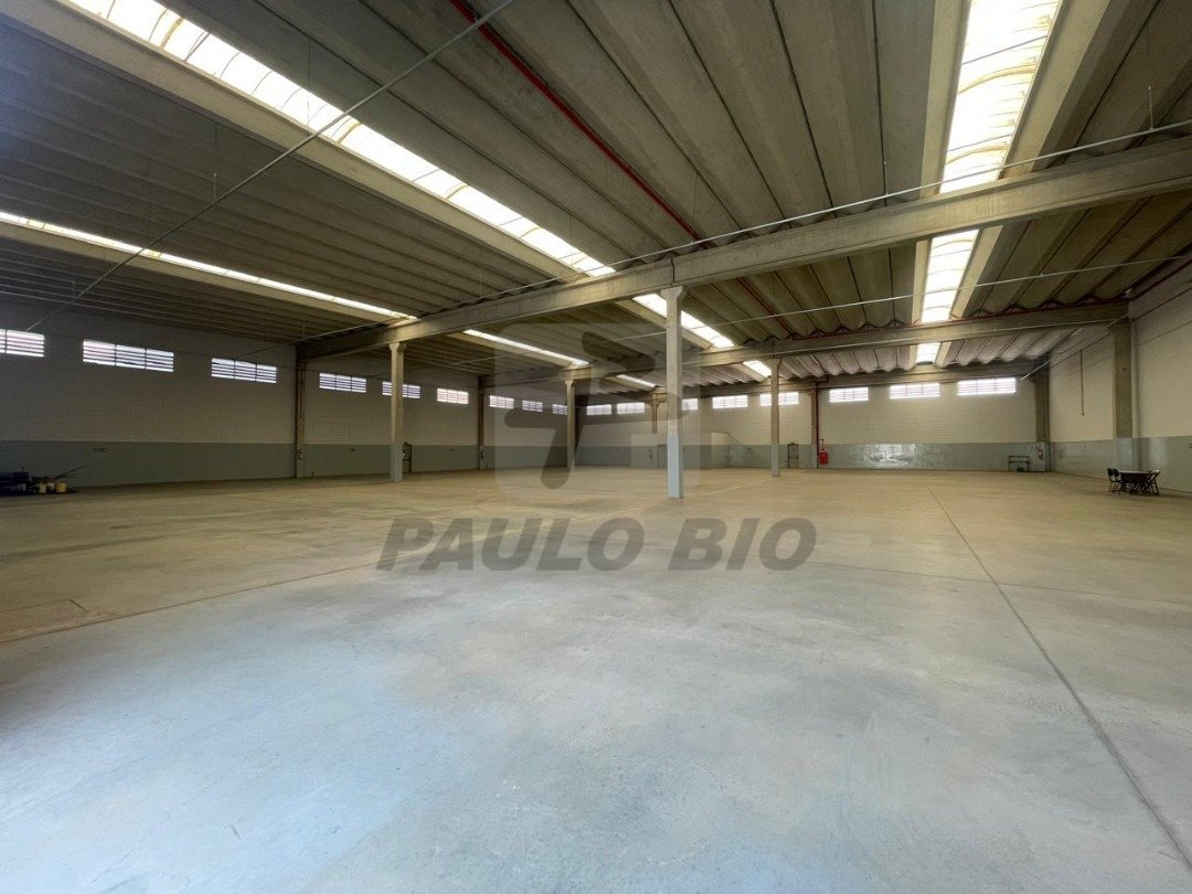 WhatsApp Image 2025-07-17 at 16.46