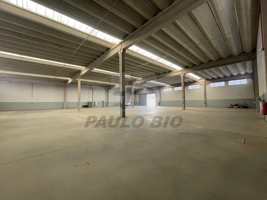 WhatsApp Image 2025-07-17 at 16.46