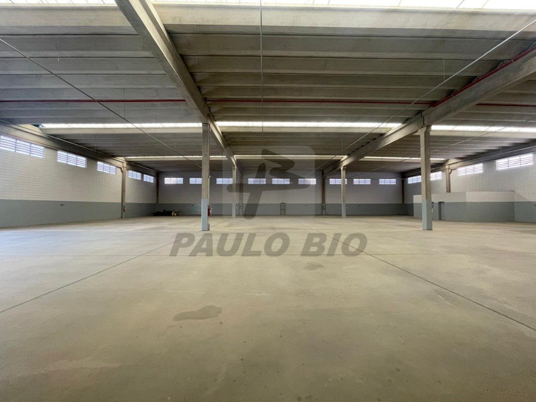 WhatsApp Image 2025-07-17 at 16.46