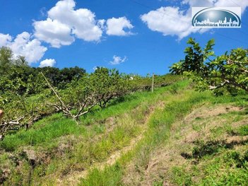 commercial_property em Caminho Servidão Três, Dois Córregos - Valinhos - SP