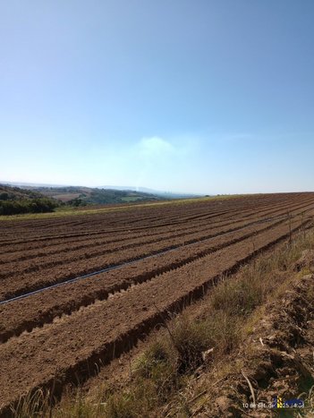 agricultural em Área Rural, Área Rural de Piedade - Piedade - SP