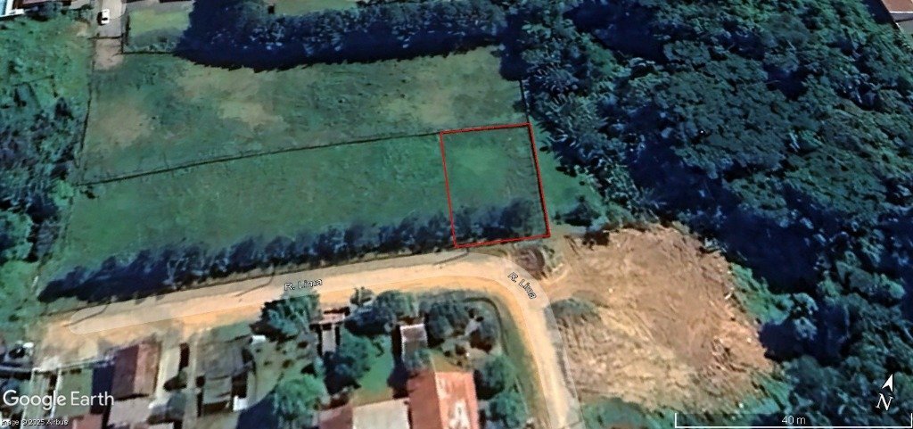 Lote 01