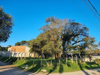 land_lot em Rua Henrique Toni, Jardim Curitiba - Piraquara - PR