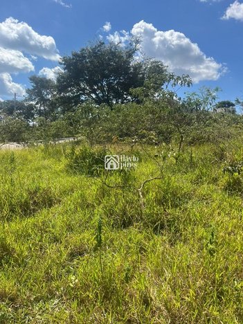 land_lot em Rua Exodo, Teixeirinha - Betim - MG