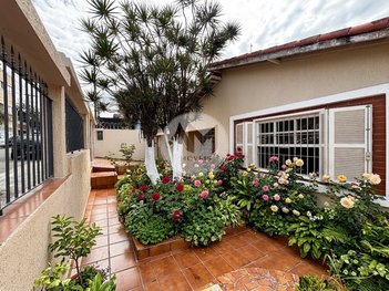 house em Rua Antonio dos Santos Rocha, Vila Marari - São Paulo - SP