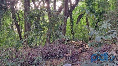 land_lot em Praça dos Pinheiros, Retiro das Fontes - Atibaia - SP