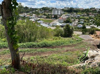 land_lot em Rua Frei Miguel, São Francisco - Garibaldi - RS