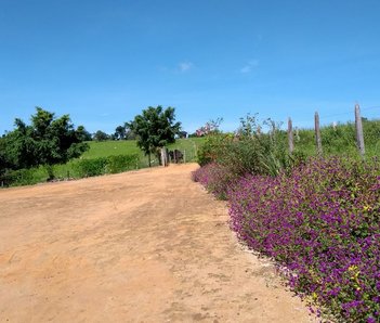 agricultural em Rua Lage, Cana Verde - Cana Verde - MG