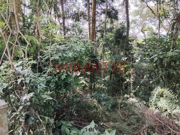 land_lot em Estrada Jacinto de Leça, Apolinário - Mairiporã - SP