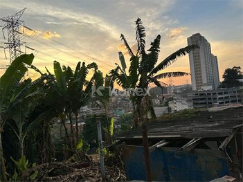 land_lot em Rua Canto do Rio Verde, Parque Reboucas - São Paulo - SP