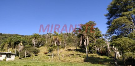 land_lot em Municipal Ettore Palma, Vila Palmares - Franco da Rocha - SP