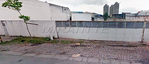 land_lot em Doutor Vidal Reis, Parque Novo Mundo - São Paulo - SP