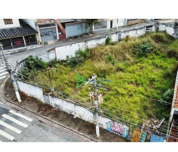 land_lot em Rua Pedro Marigliani, Chácara Inglesa - São Paulo - SP
