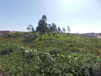 land_lot em BR-116, Fragata - Pelotas - RS