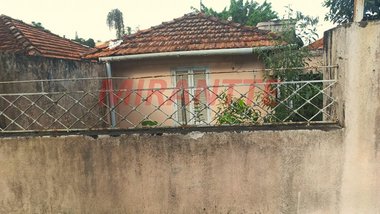 land_lot em Conchilia, Vila Albertina - São Paulo - SP
