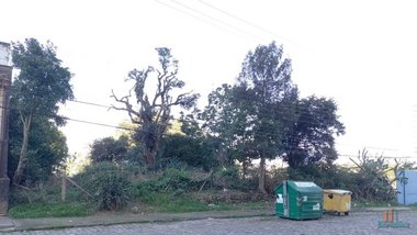 land_lot em Pedro Pezzi, Panazzolo - Caxias do Sul - RS