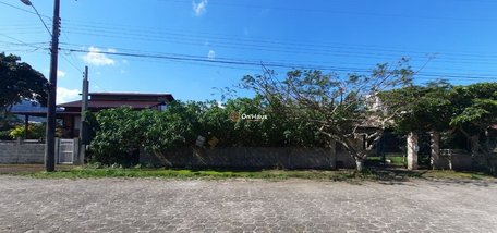 land_lot em Rua Julião Benjamin da Lapa, Pântano do Sul - Florianópolis - SC