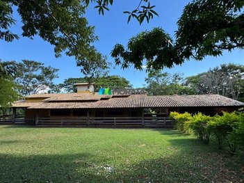 agricultural em Área Rural, Área Rural de Curvelo - Curvelo - MG
