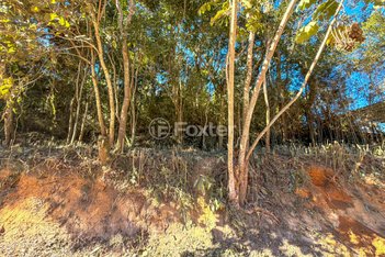 land_lot em Avenida Miro Attílio Peduzzi, Tanque Caio - Ribeirão Pires - SP