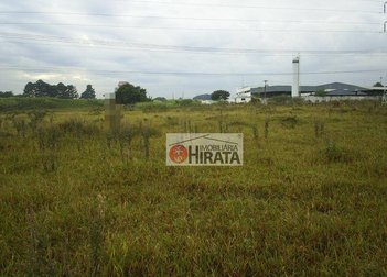 commercial_building em Rodovia Jornalista Francisco Aguirre Proença, Chácara Nova Boa Vista - Campinas - SP