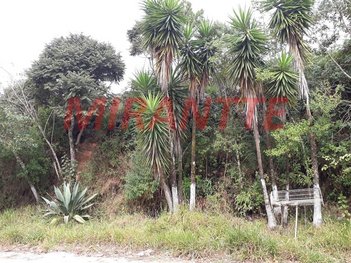 land_lot em Rua Pernambuco, Mata Fria - Mairiporã - SP
