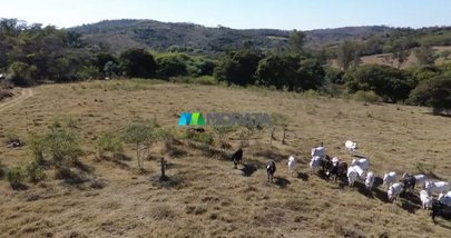 agricultural em Avenida Esmeraldas, Caracóis de Baixo - Esmeraldas - MG