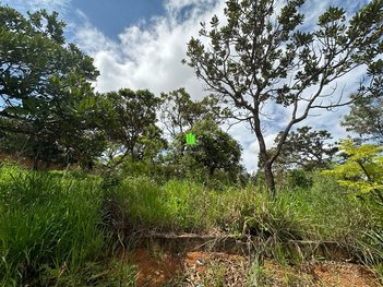 land_lot em Rua Bonanza, Aeronautas - Lagoa Santa - MG