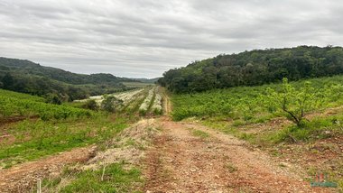 land_lot em Travessao Cremona, Ana Rech - Caxias do Sul - RS