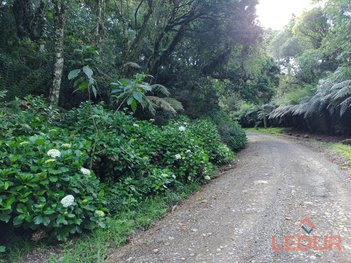land_lot em Rua das Cerejas, São Francisco de Paula - São Francisco de Paula - RS