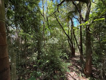 land_lot em Rua Carapicuíba, Paisagem Renoir - Cotia - SP