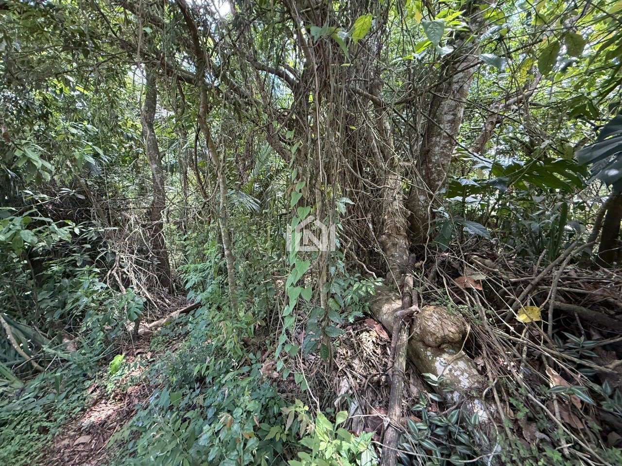 terreno a venda no condominio paisagem renoir ii e iii