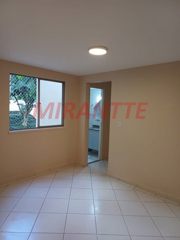 apartment em Avenida Parada Pinto, Vila Nova Cachoeirinha - São Paulo - SP