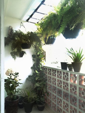 apartment em Rua São Domingos, Jardim São Paulo - Guarulhos - SP