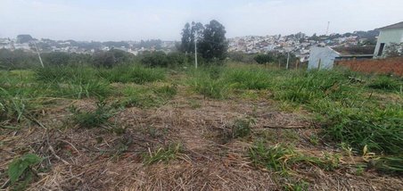 land_lot em Rua do Bosque, Bosque - Vinhedo - SP