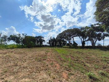 agricultural em Área Rural, Área Rural de Limeira - Limeira - SP