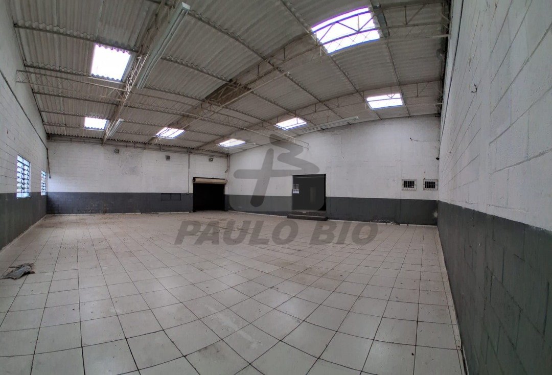 WhatsApp Image 2025-11-08 at 13.03