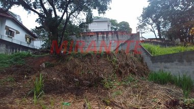 land_lot em Theodomiro Moraes Cunha, Horto Florestal - São Paulo - SP